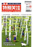 《特别关注》