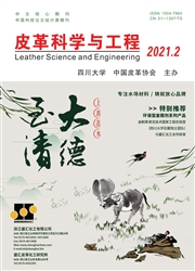《皮革科学与工程》