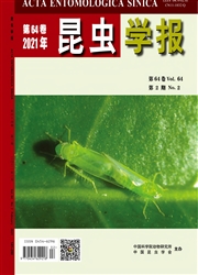 《昆虫学报》