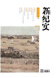 《新纪实》