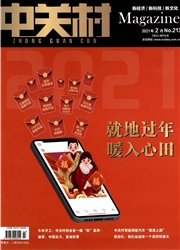 《中关村》