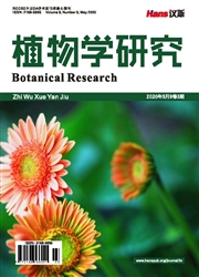 《植物学研究》