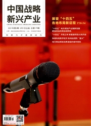 《中国战略新兴产业》