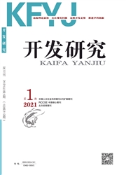 《开发研究》