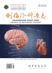 《创伤外科杂志》