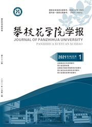 《攀枝花学院学报：综合版》