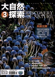 《大自然探索》