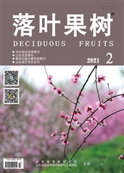 《落叶果树》