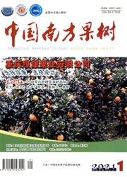 《中国南方果树》