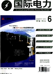 《国际电力》