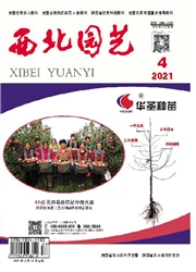《西北园艺：果树》