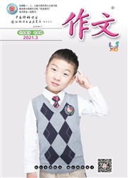 《作文：小学中高年级》