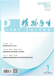 《植物医生》