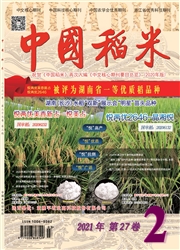 《中国稻米》