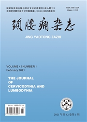 《颈腰痛杂志》