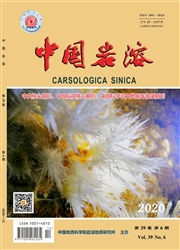 《中国岩溶》