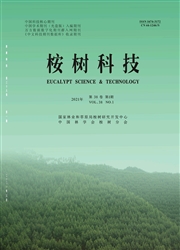 《桉树科技》