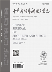 《中华肩肘外科电子杂志》