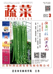 《蔬菜》
