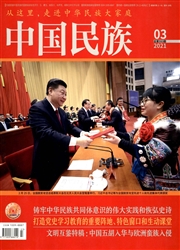 《中国民族》