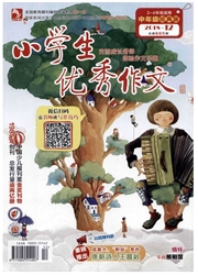 《小学生优秀作文：中年级版》