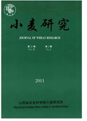 《小麦研究》