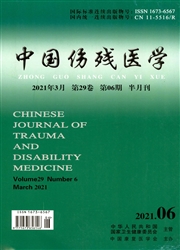 《中国伤残医学》