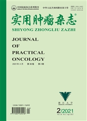 《实用肿瘤杂志》