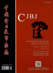 《中国骨与关节杂志》