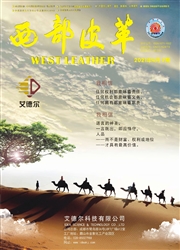 《西部皮革》