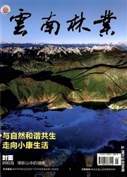 《云南林业》