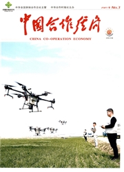 《中国合作经济》