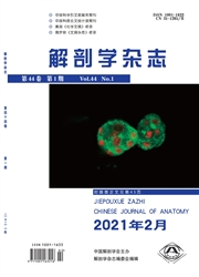 《解剖学杂志》