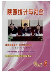 《陕西统计与社会》