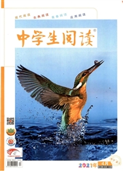 《中学生阅读：初中读写》