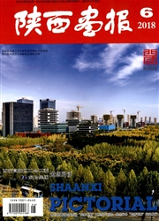《陕西画报》