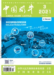 《中国奶牛》