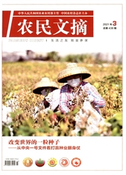 《农民文摘》