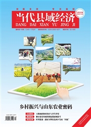 《当代县域经济》
