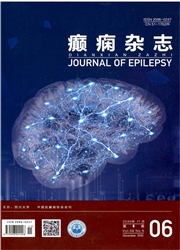 《癫痫杂志》