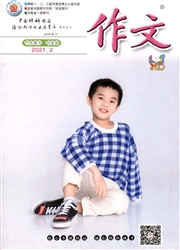 《作文：小学低年级》