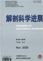 《解剖科学进展》