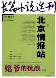 《长篇小说选刊》