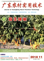 《广东农村实用技术》
