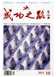 《成功之路》