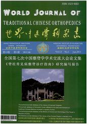 《世界中医骨科杂志》