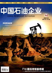 《中国石油企业》