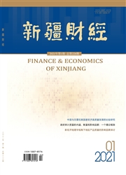《新疆财经》
