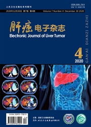 《肝癌电子杂志》