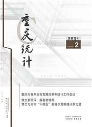 《重庆统计》